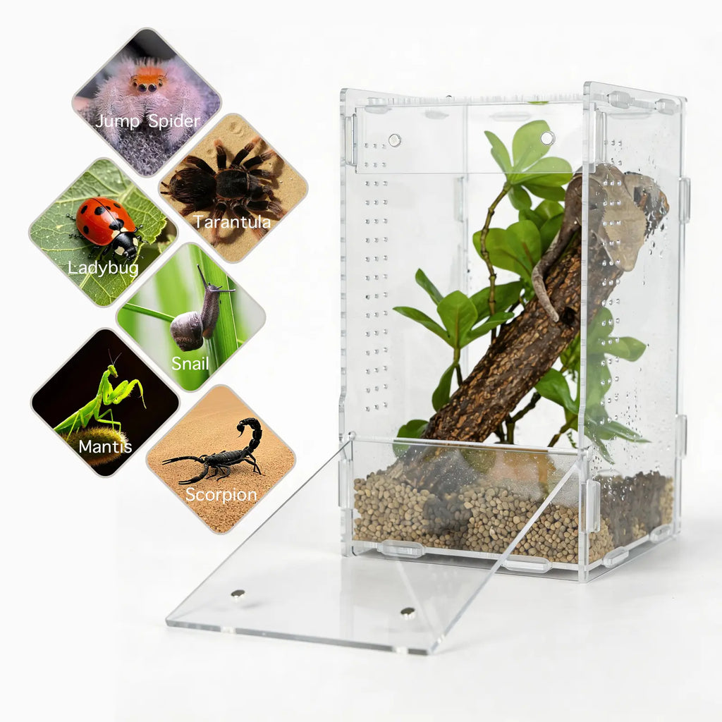 5X5X8 Reptile Tank – Acrylic Reptile Enclosure Terrarium for Cre Sted Gecko, Lizards, Spiders & Snakes – Clear Lizard Habitat Terrarium