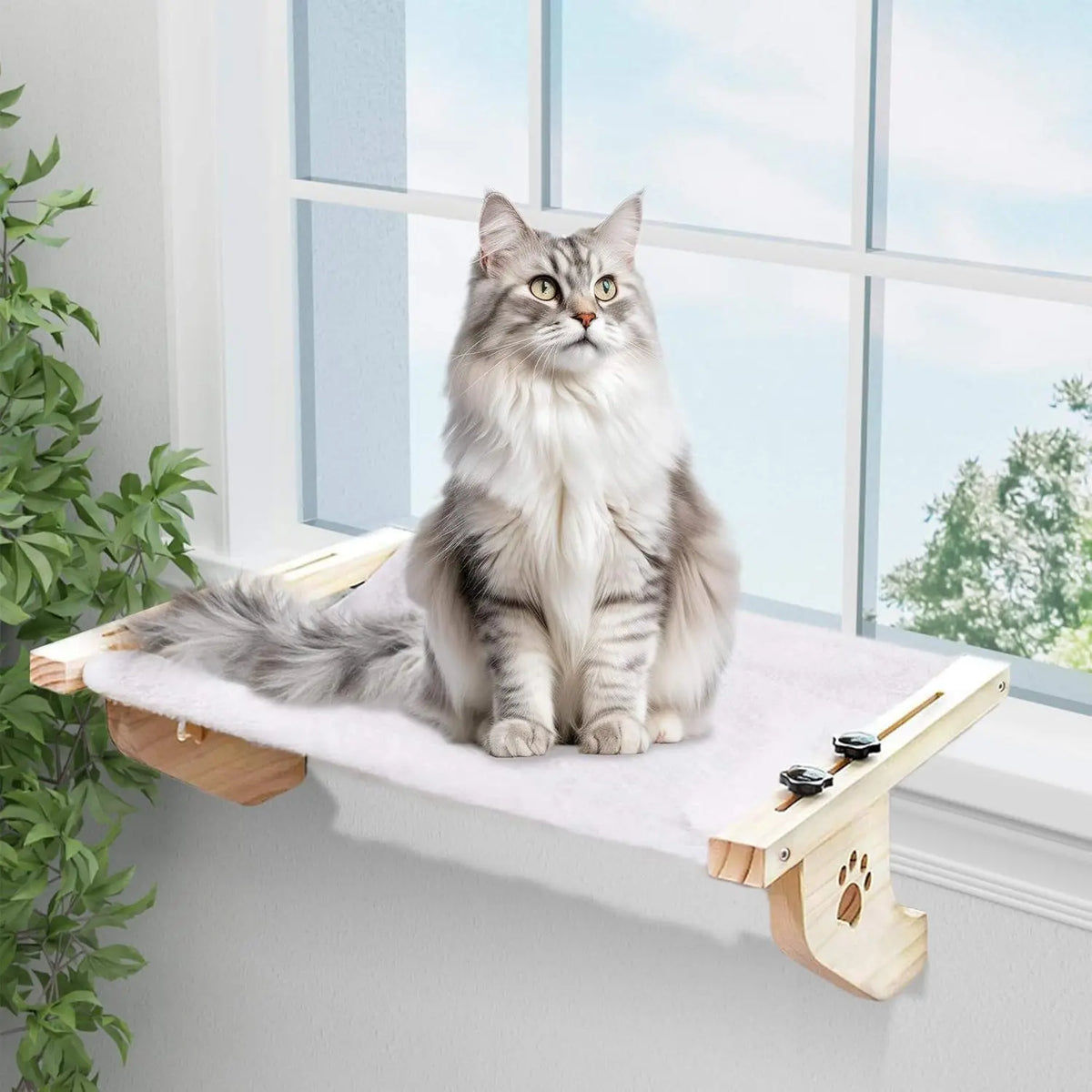 Petwhole Cat Window Sill Perch-Natural Wood & Metal Frame for Large Cats and Kittens, Adjustable Foldable Cat Window Bed with Large Load Capacity,Sturdy and Durable,Universal Fit for All Windowsills & Bedside,Easy to Adjust,Cat Sunbathing Rest Essential