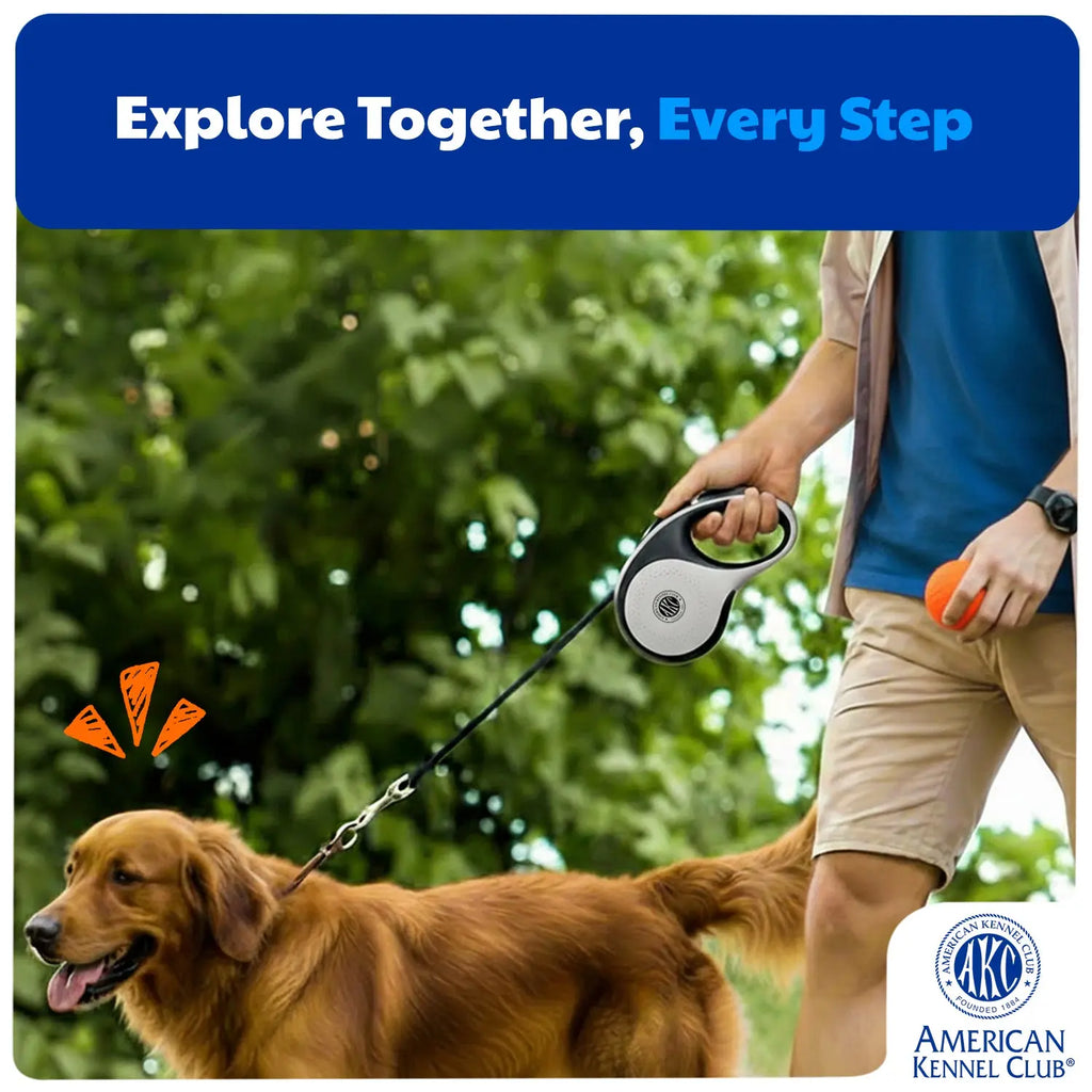 American Kennel Club Retractable Dog Leash, Tangle-Free, 16.4 Ft, for Medium Dogs up to 66 Lbs