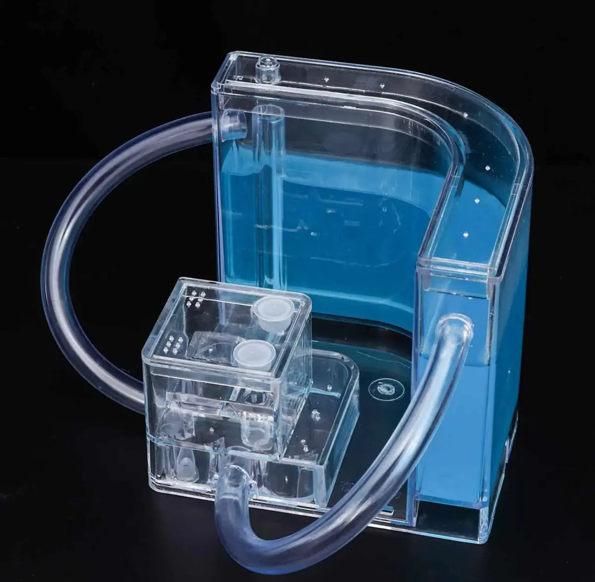 Ant Farm Enclosure - Blue Gel Indoor Habitat for Ants
