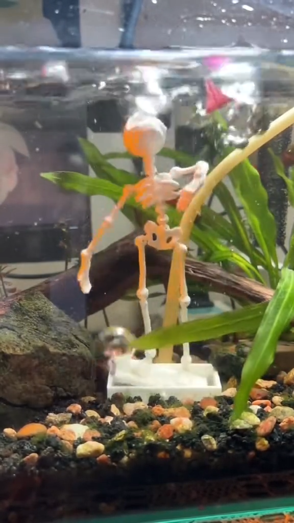 Decoración de acuario esqueleto bailarín — Ventosa y manguera de aire